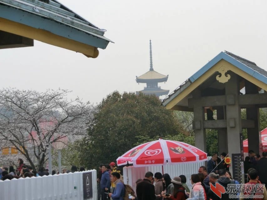 CIMG0104.jpg