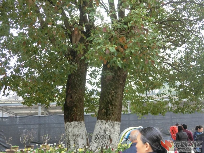 CIMG9494.jpg
