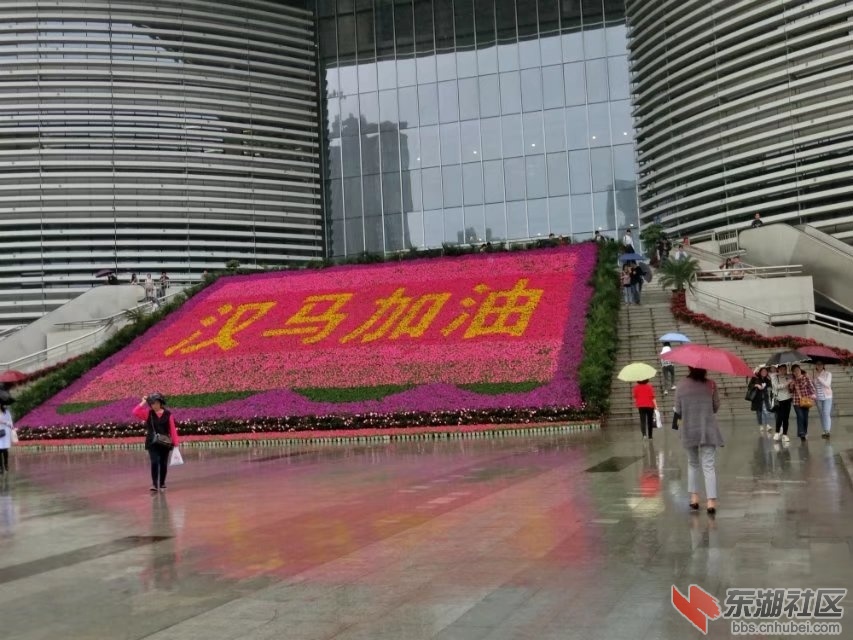 CIMG2349.jpg