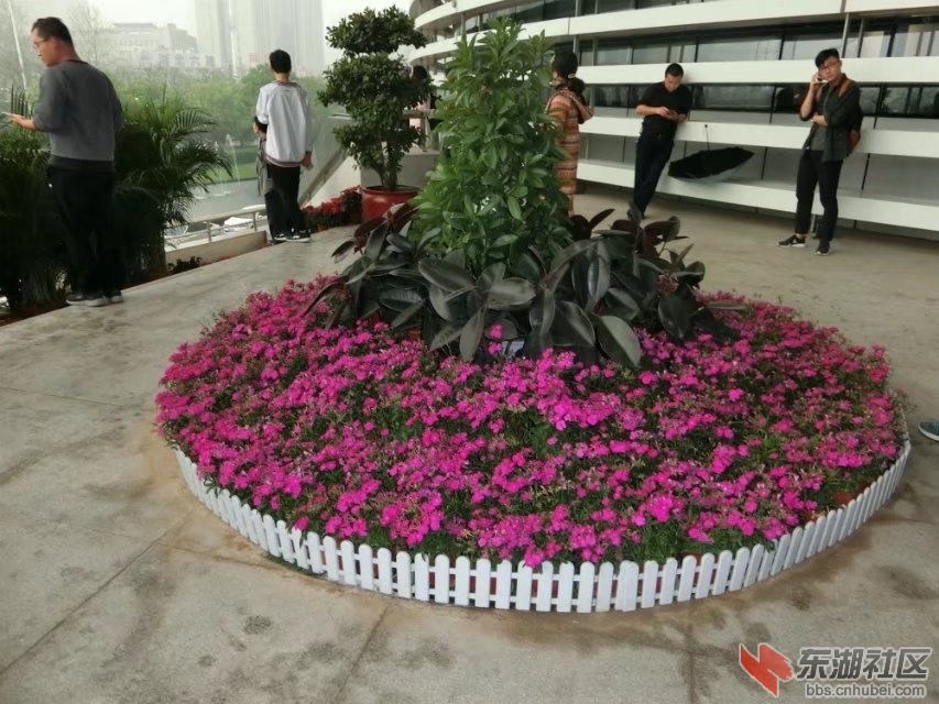 CIMG2353.jpg