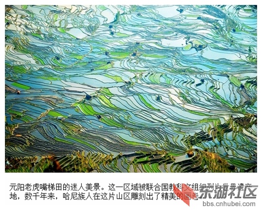 02元阳老虎嘴梯田.jpg