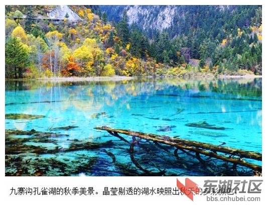 013九寨沟孔雀湖.jpg
