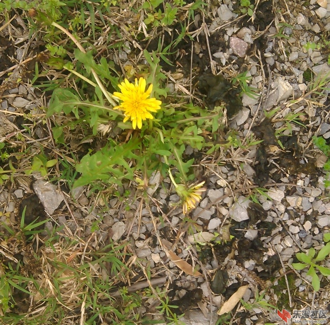 IMG_20170406_161848_副本_副本.jpg