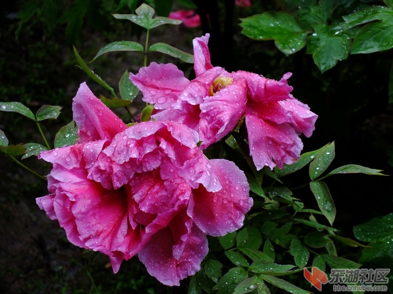 DSCF5343_调整大小.JPG