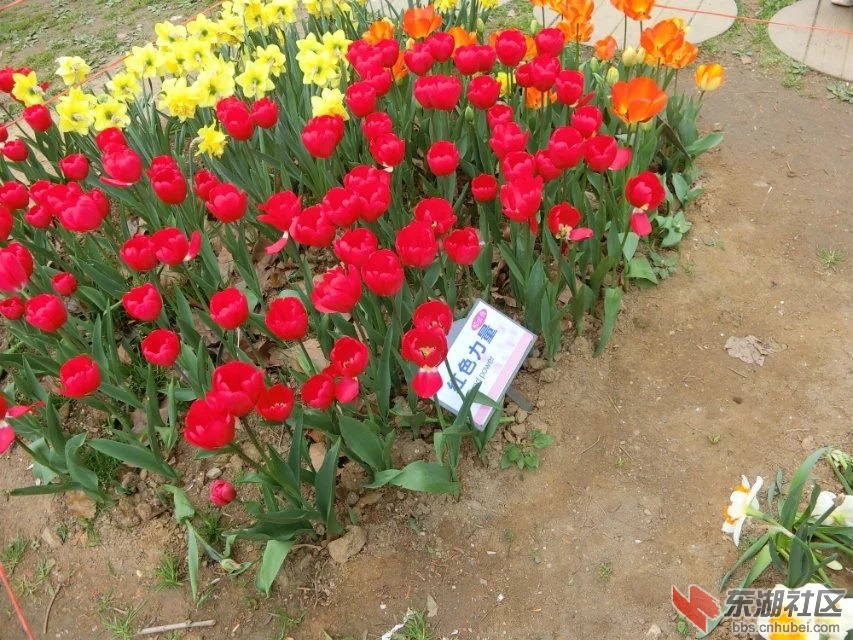 CIMG9603.jpg