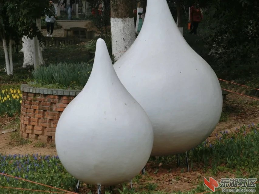 CIMG9613.jpg
