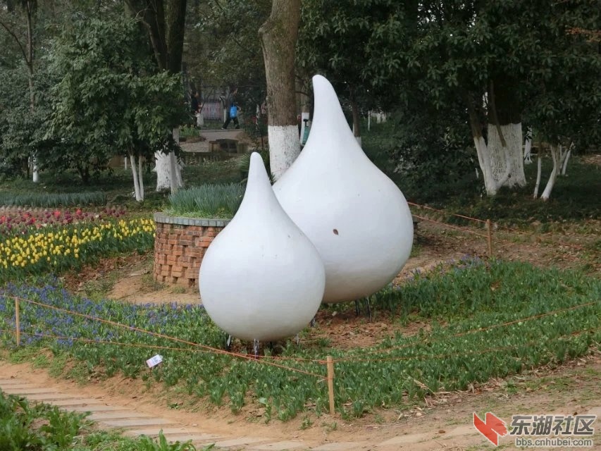 CIMG9614.jpg