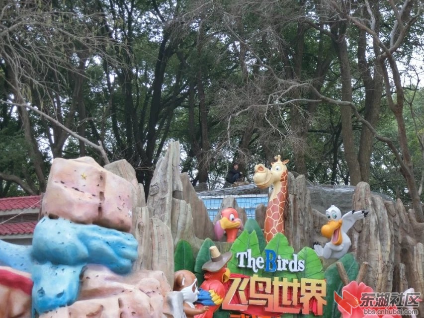 CIMG8683.jpg