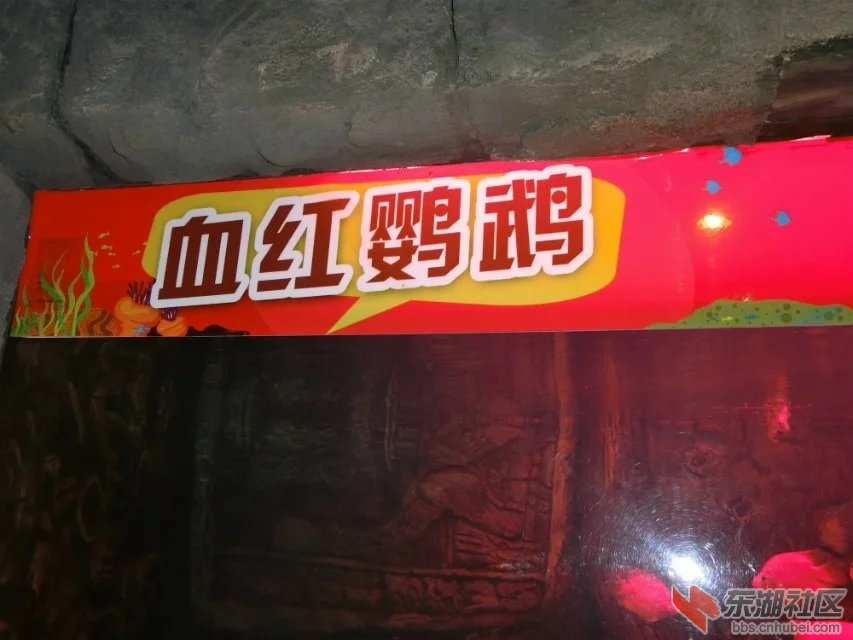 CIMG8773.jpg