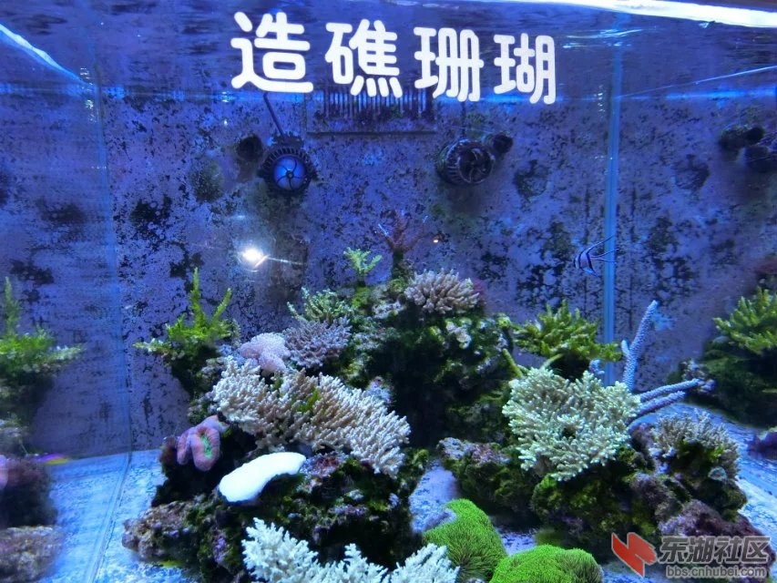 CIMG8903.jpg