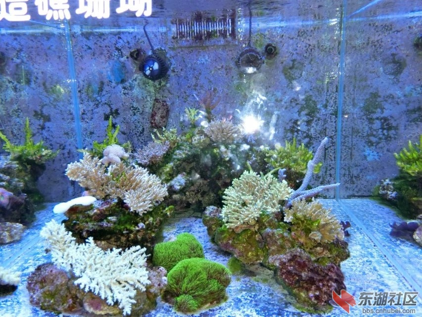 CIMG8905.jpg