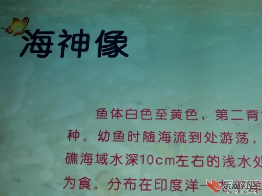 CIMG8918.jpg