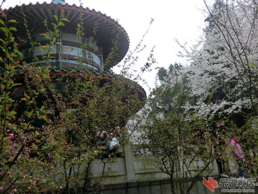 CIMG0200.jpg