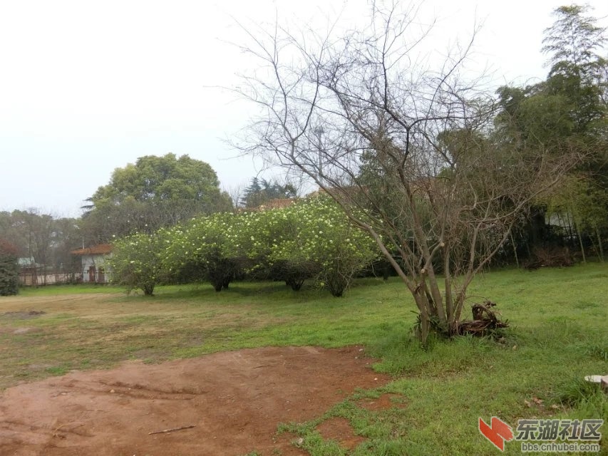CIMG0276.jpg