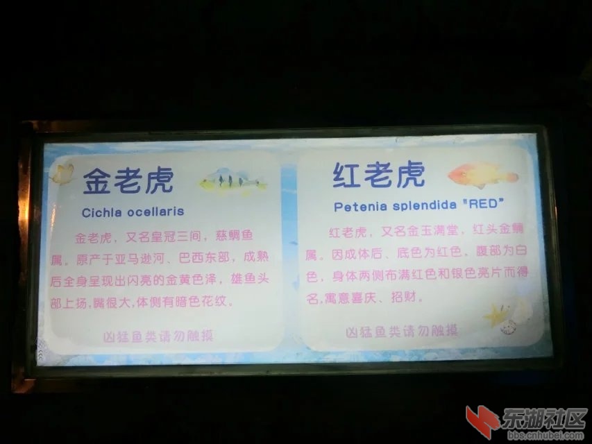 CIMG9014.jpg