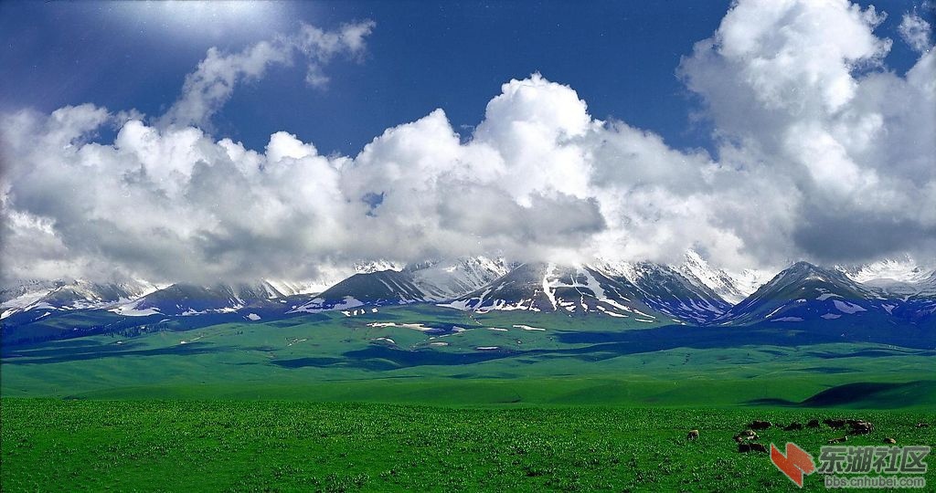 201344163648497.jpg