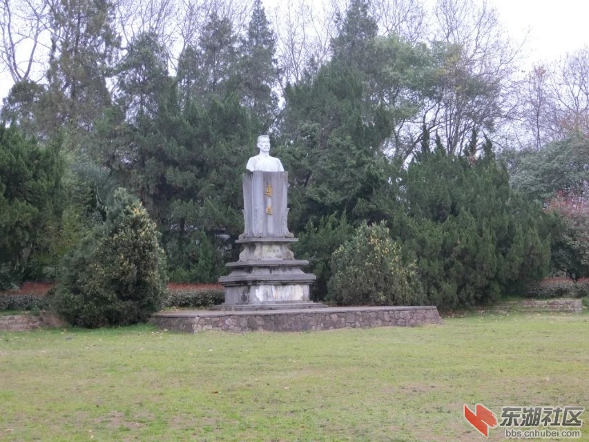 CIMG9072.jpg