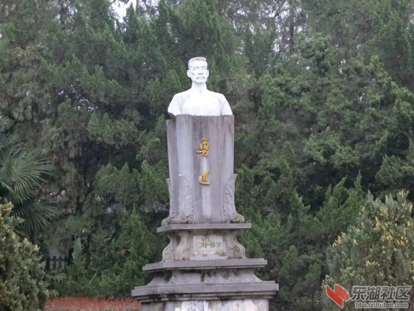 CIMG9074.jpg