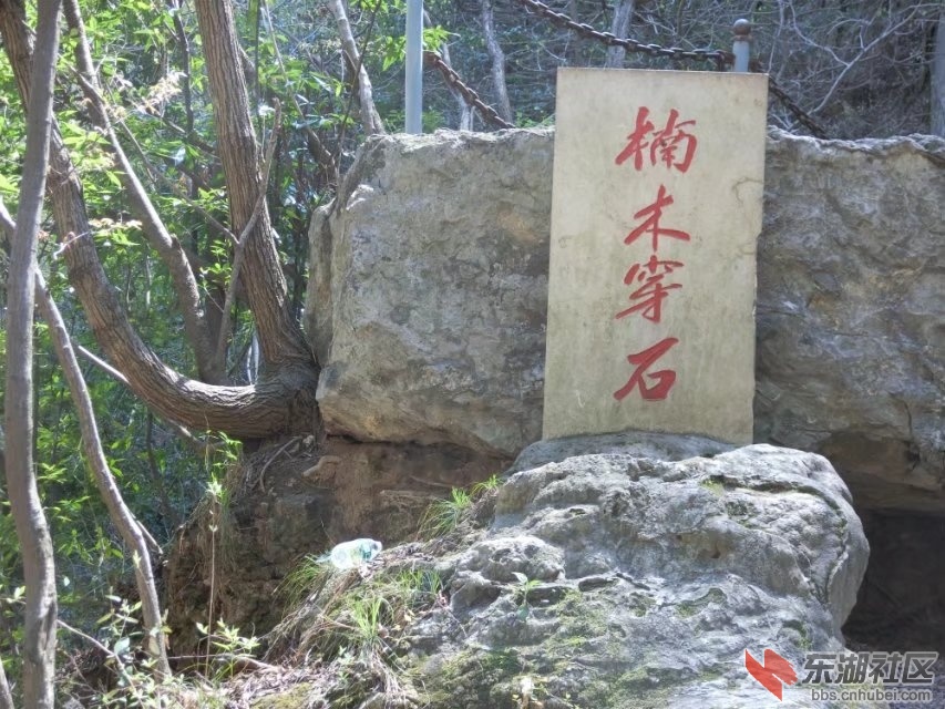 CIMG1614.jpg