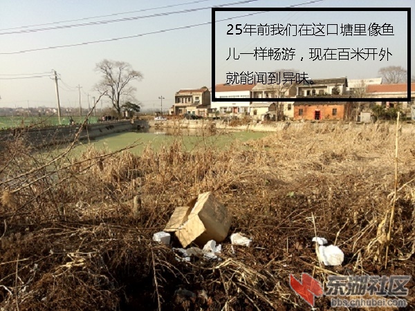 一村一塘-02.jpg