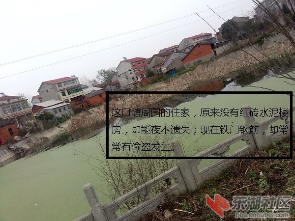 一村一塘-04.jpg