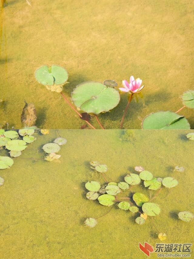 微信图片_20170427213504.jpg