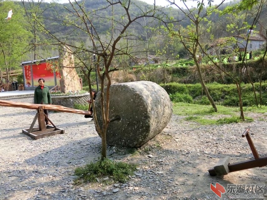 CIMG1830.jpg