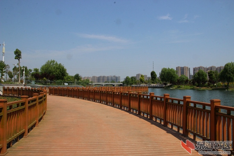 IMG_3444_副本.jpg