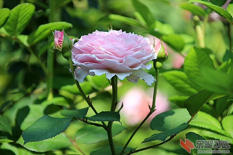 IMG_3281_副本.jpg