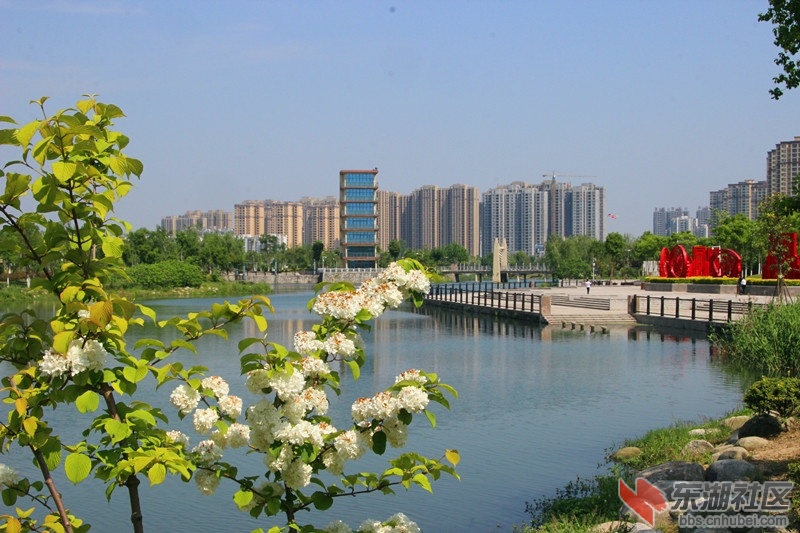 IMG_3407_副本.jpg