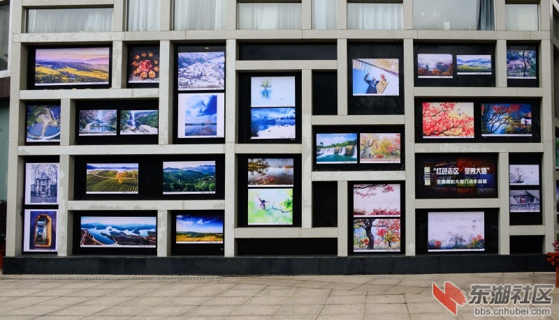 展览1.jpg