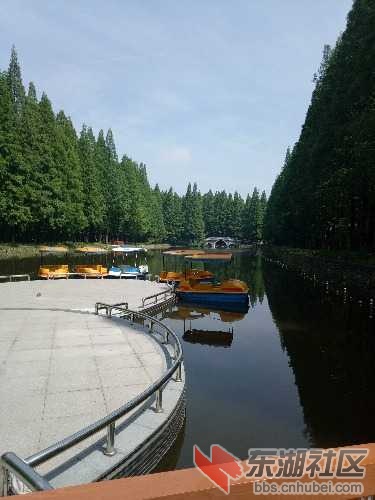 IMG20170508102104.jpg