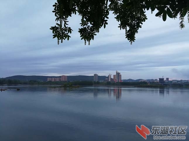 对岸灯火.jpg