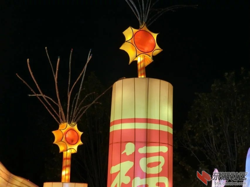 CIMG8443.jpg