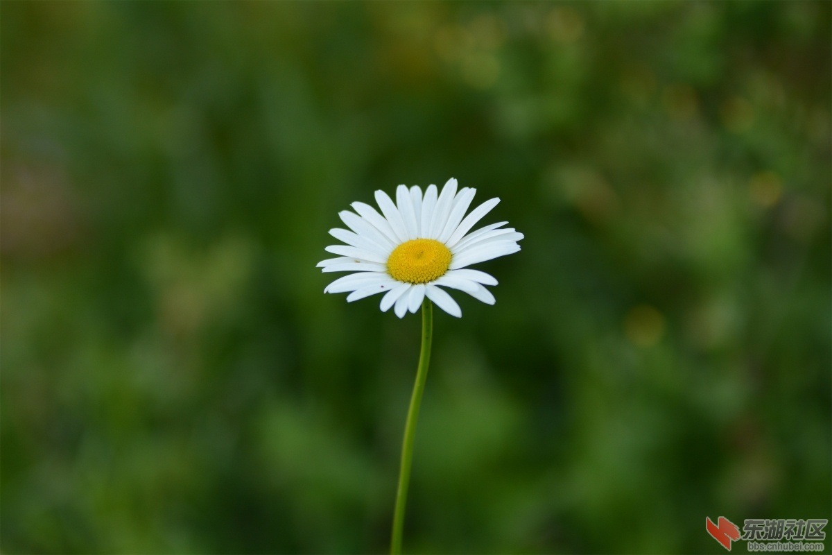 DSC_8833.JPG