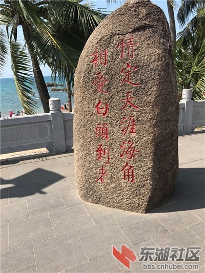 00011112030.jpg