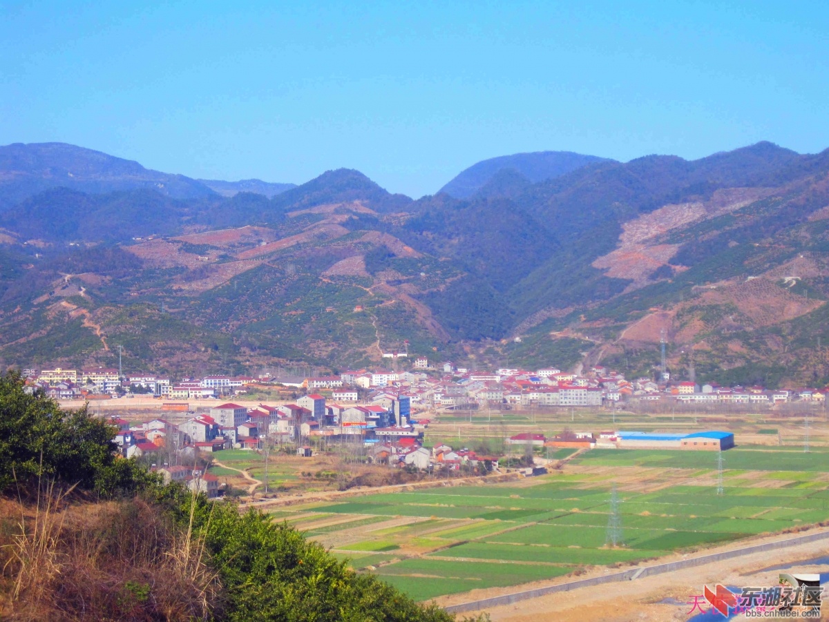 IMG_1781_副本.jpg