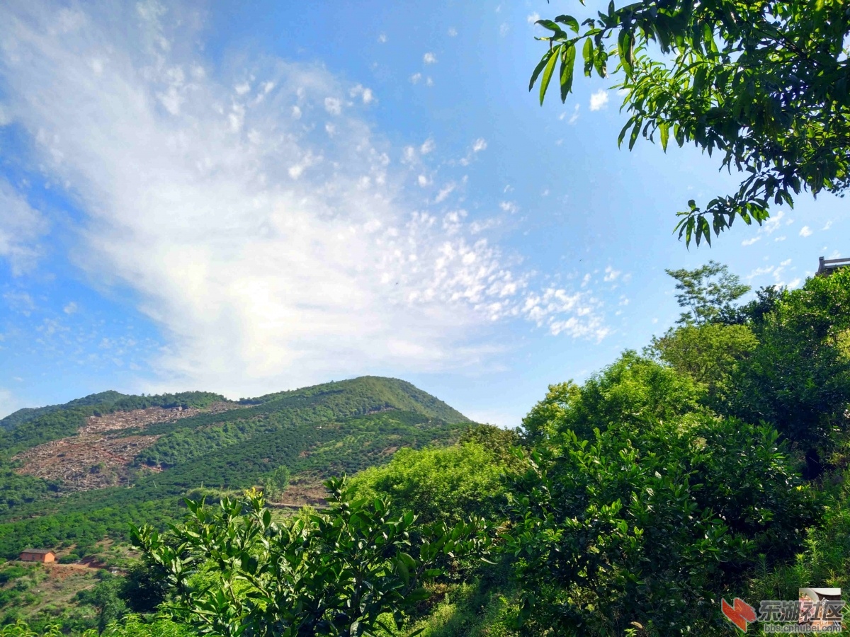 IMG_20160627_094211_HDR_副本.jpg