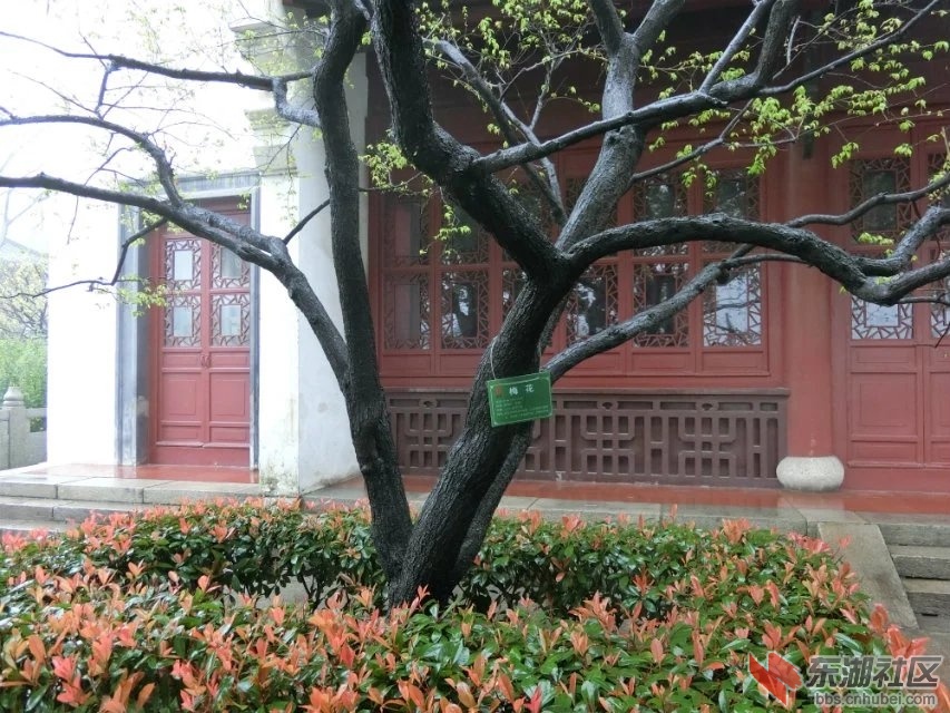 CIMG0582.jpg