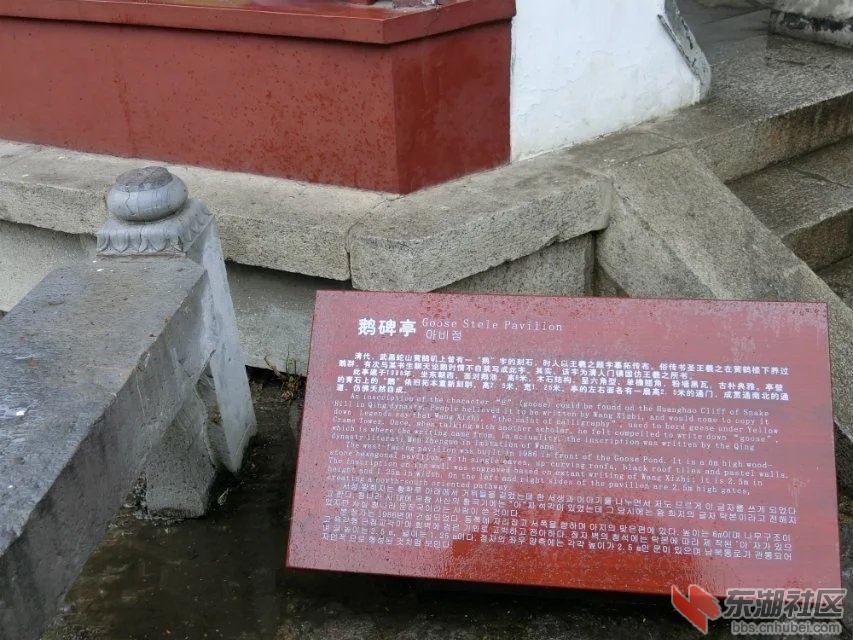 CIMG0600.jpg