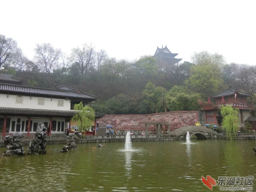 CIMG0625.jpg