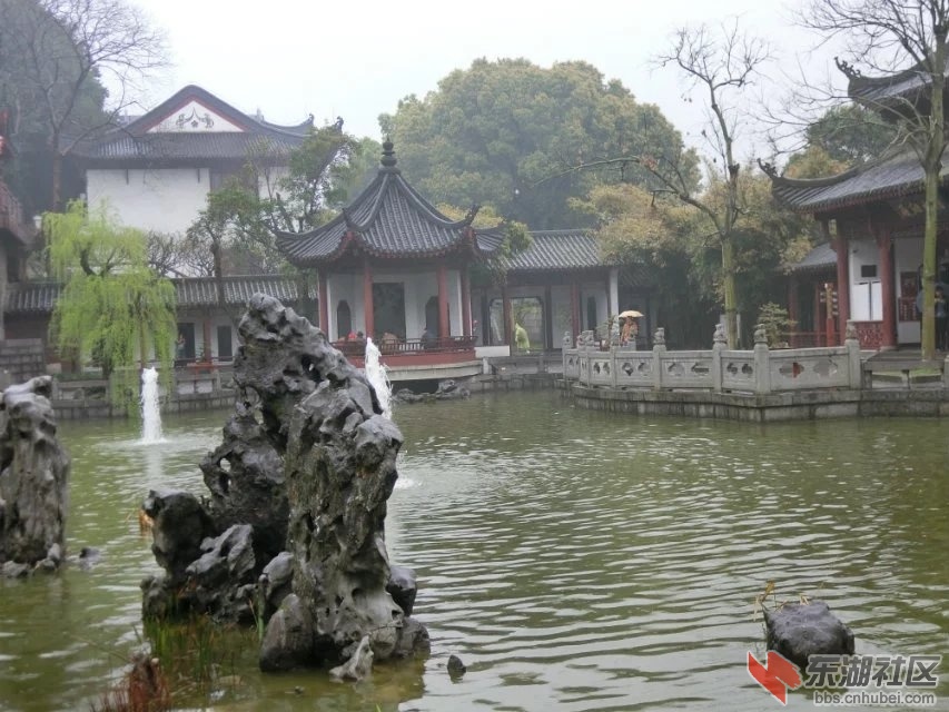 CIMG0630.jpg