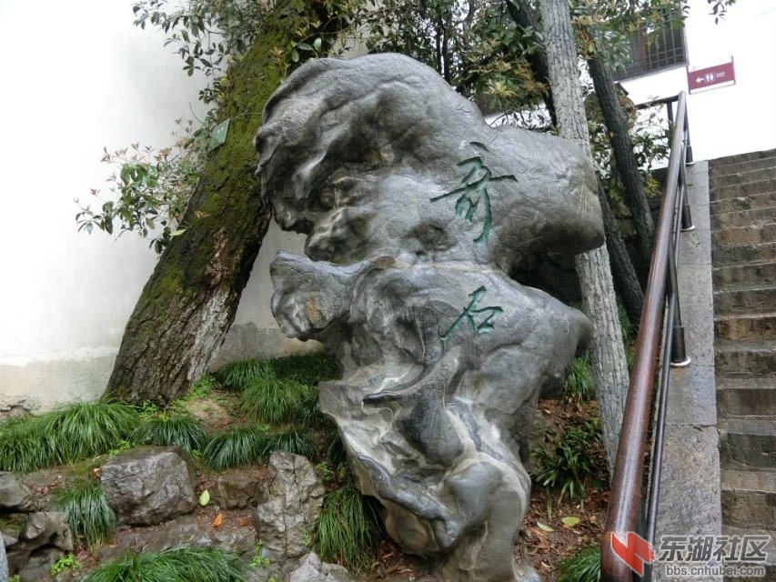 CIMG0634.jpg