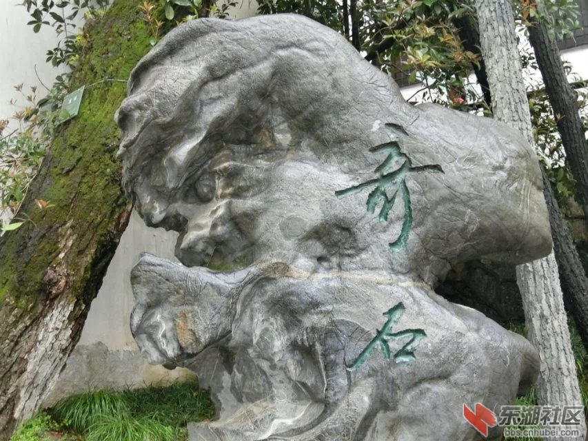 CIMG0635.jpg