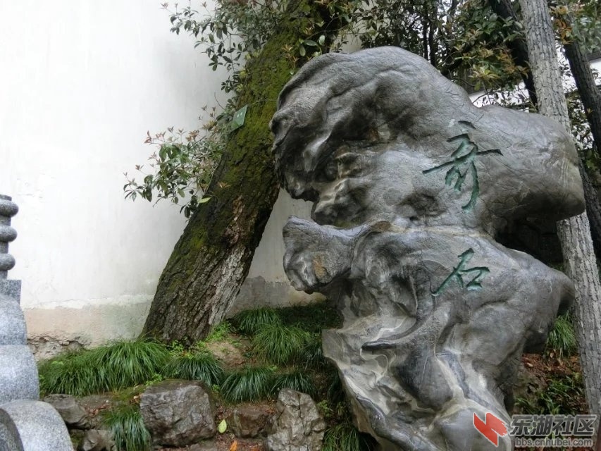 CIMG0636.jpg