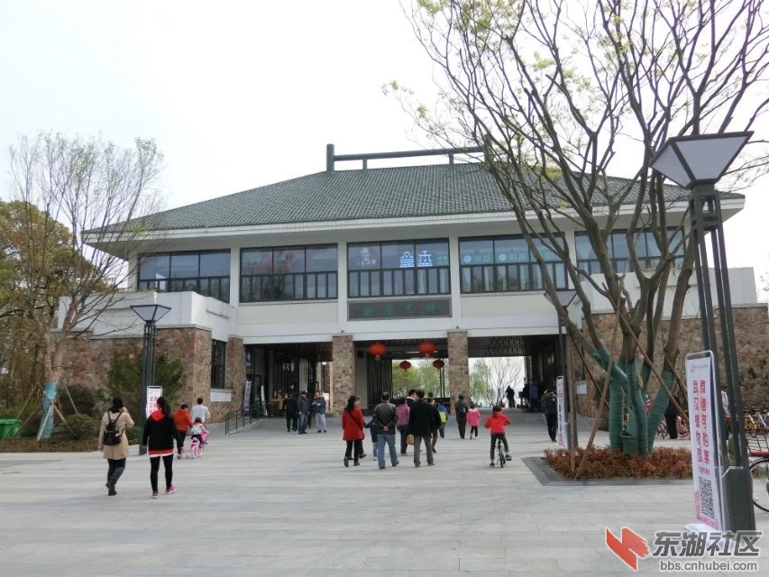 CIMG0804.jpg