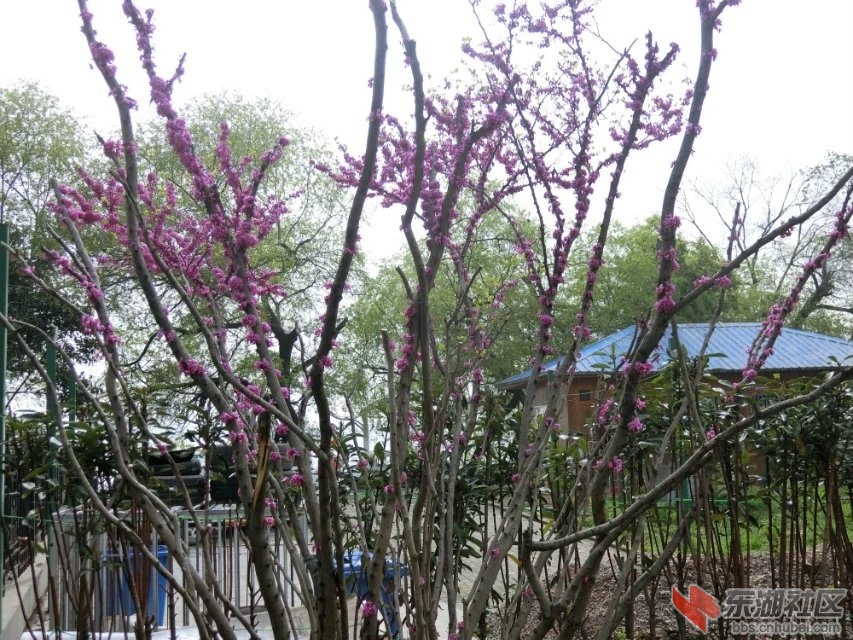 CIMG0841.jpg