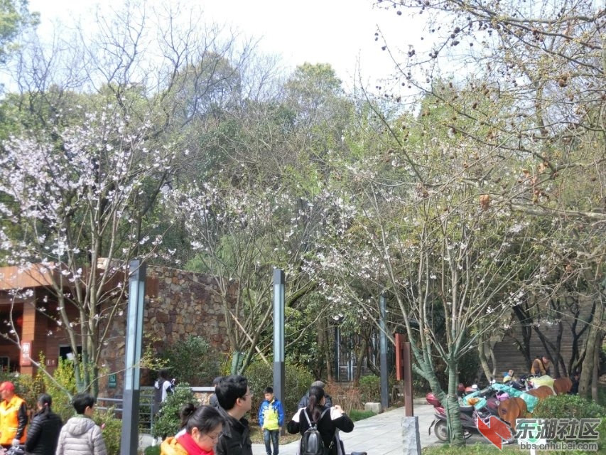 CIMG0859.jpg