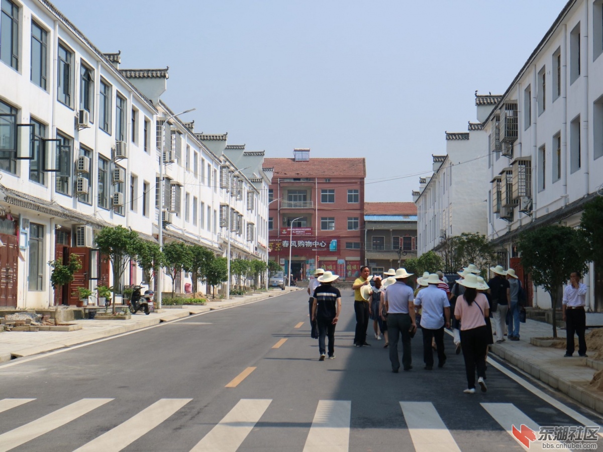 市民下乡107.jpg