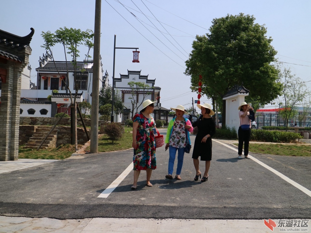 市民下乡113.jpg